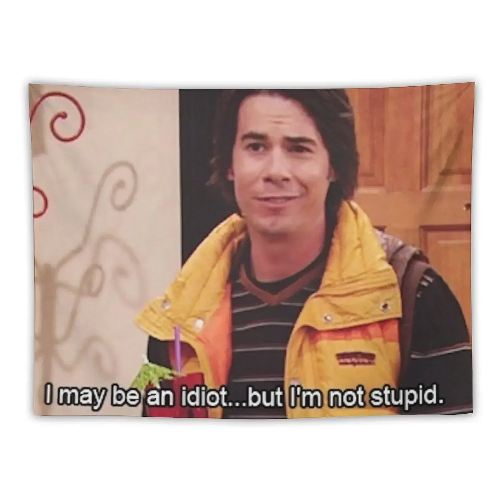 

Spencer Shay- I May Be An Idiot, But I'm Not Stupid Tapestry Aesthetic Room Decors Home Decorations Decor For Bedroom Tapestry