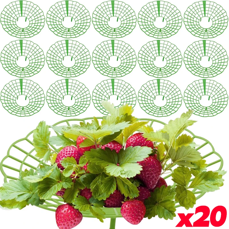 Round Strawberry Stand Anti-ground Plant Tray Stand Anti-corrosion Anti Rotting Vegetable Protection Holder Gardening Supplies