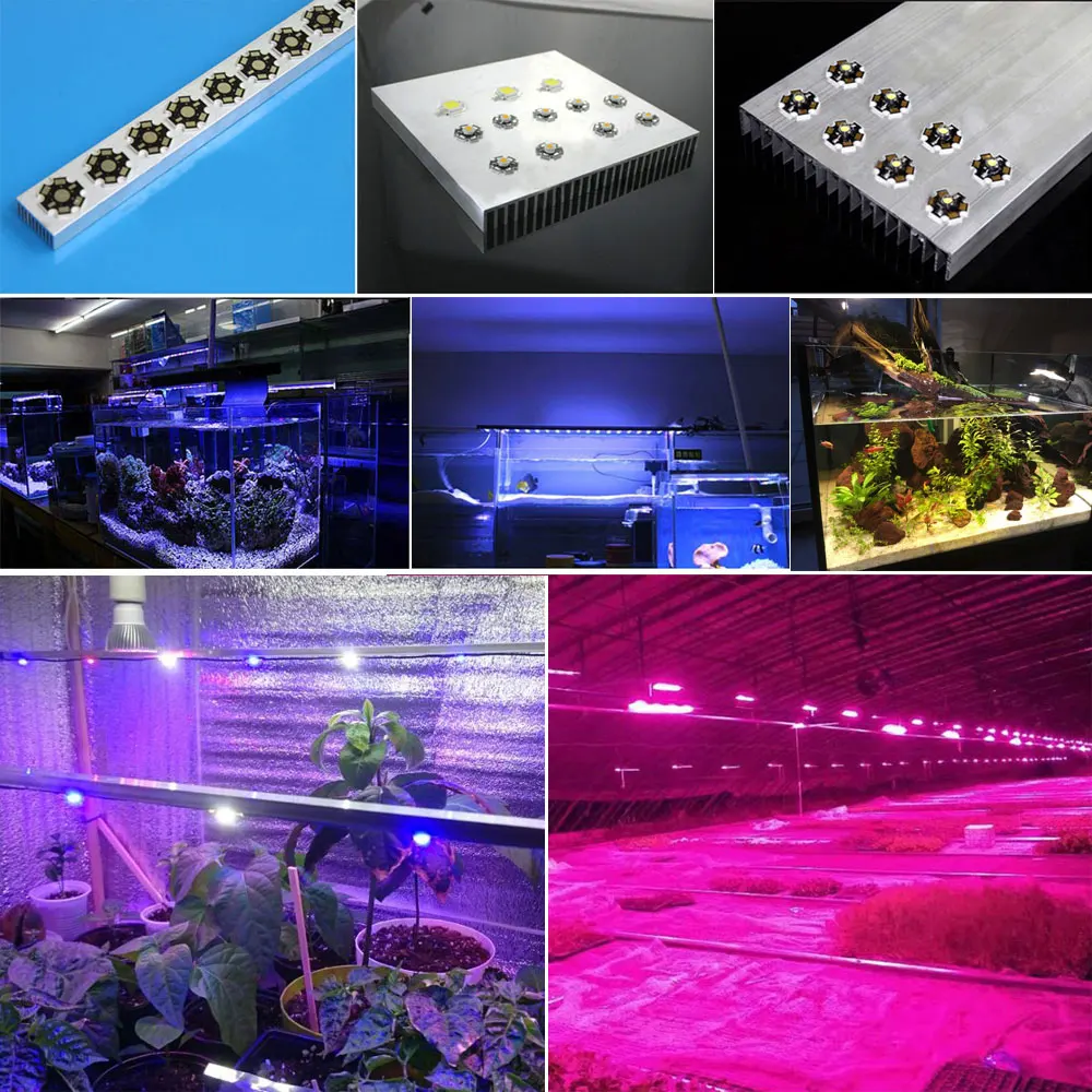 10Pcs 1W 3W 5W High Power LED Chip COB Warm Cool White Red Green Blue Full Spectrum 660nm 440nm Light Beads Grow Aquarium Lamp