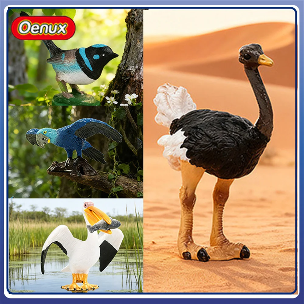 Oenux Realistic Ostrich Kiwi Pelican Macaw Toucan Lovebird Bird Figurines Solid Plastic Models for Collection Desktop Decor
