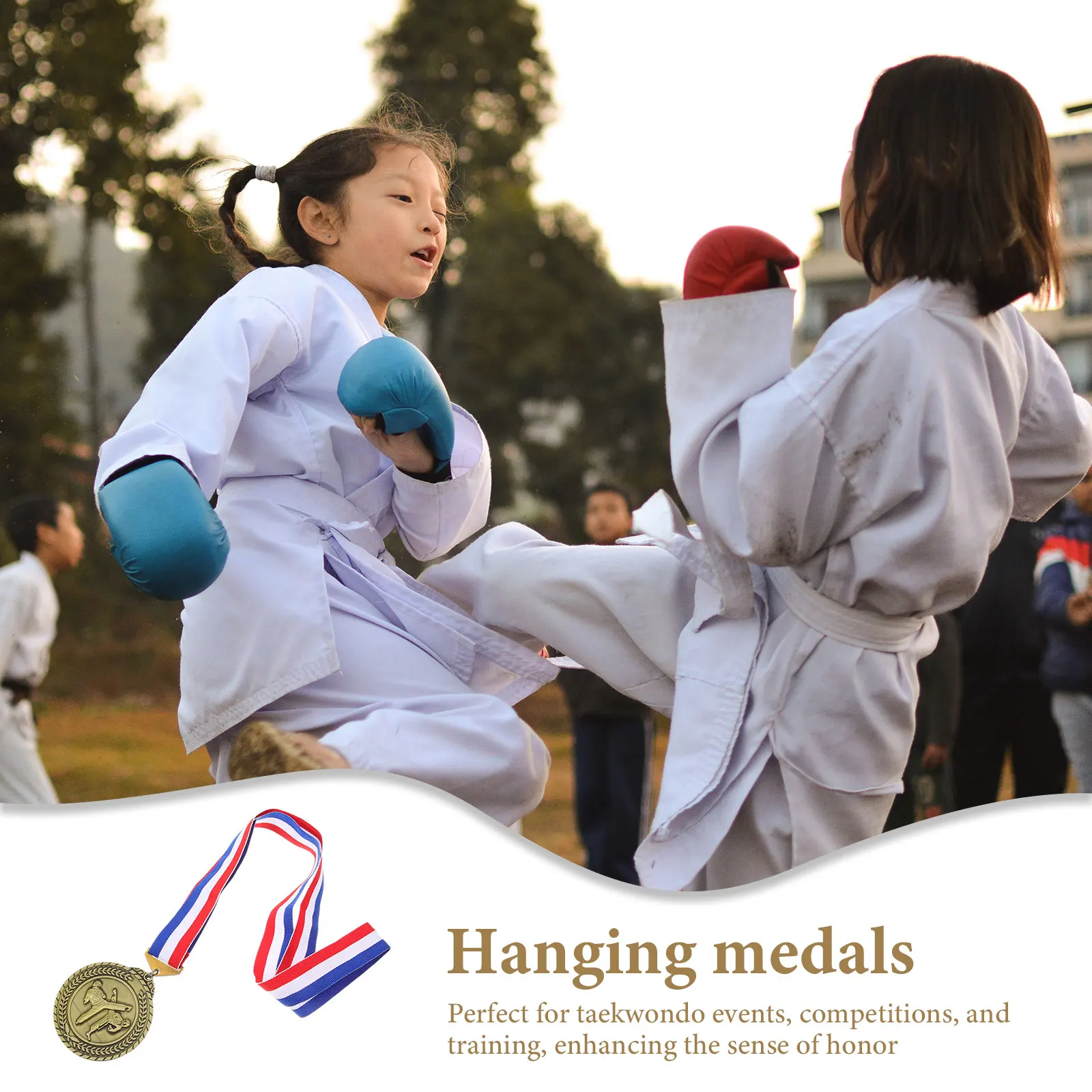 

Martial Competition Medal Zinc Alloy Hanging Plaque Durable Metal Award Medal for Martial Arts Race Medals for Awards