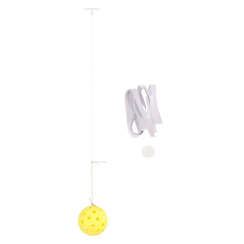 

Pickleball trainer with pickleball ball string. Pickleball training for