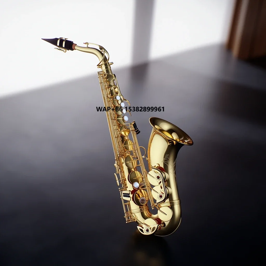

Wholesale Cheap Professional Tenor Sax Sachs Chinese With Accessories Brass Alto Saxophone
