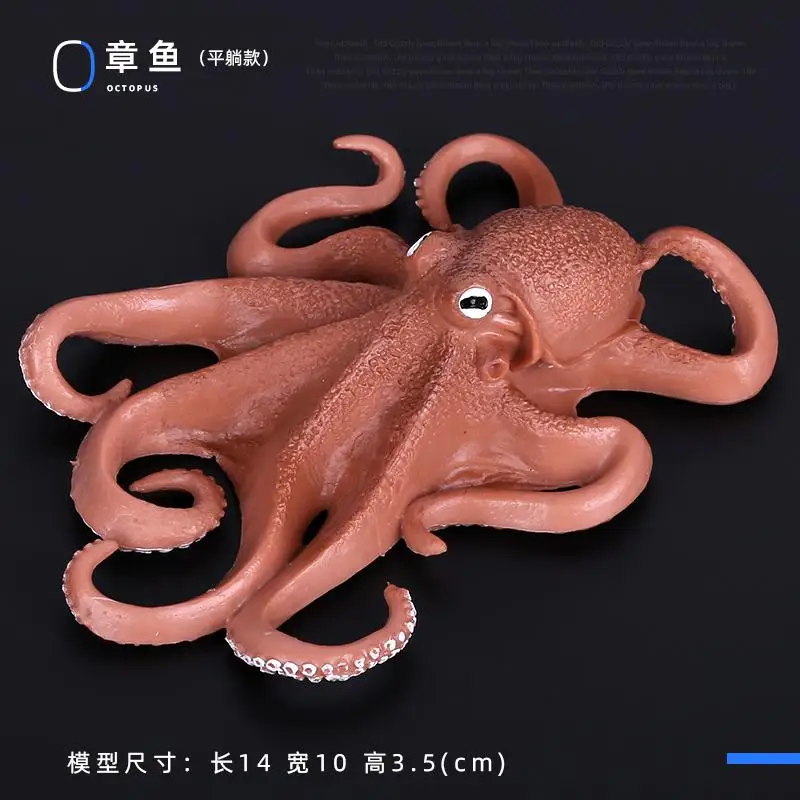 Simulatie Plastic Zeedier Speelgoedfiguren Nautilus, koning Spider Heremietkreeft Zeeleven Dieren Model Collectie Speelgoed
