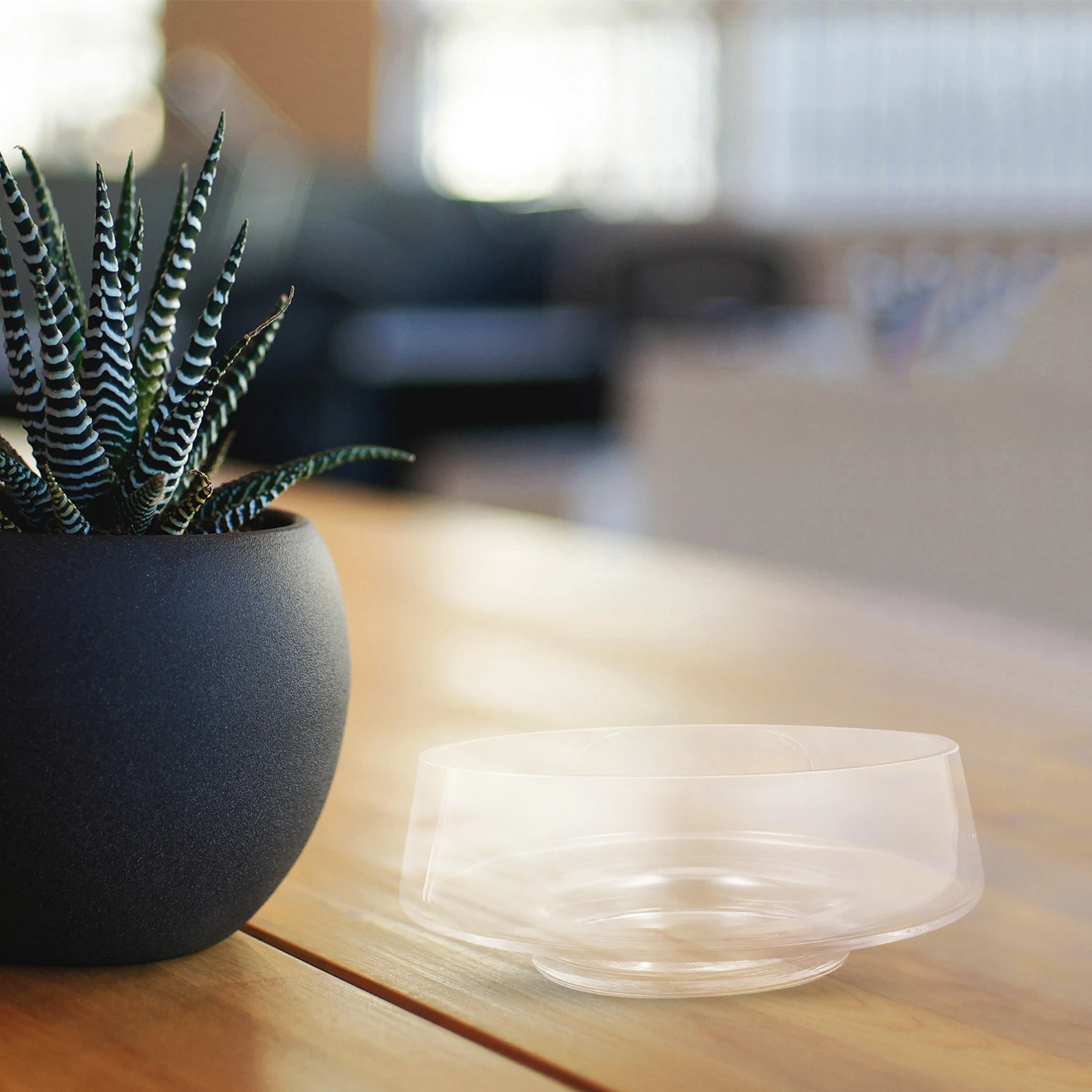 

Transparent Wide Mouth Glass Flowerpot Clear Vase for Succulent Moss Hydroponics Indoor Decorative Plant Holder Tabletop Display