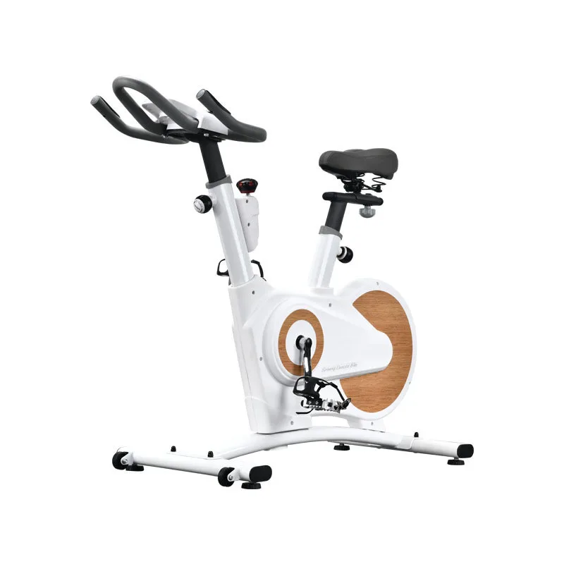 

STLF Customized Spinning Bike Magnetron Exercise Bike Stationary Bicycle Cardio Adjustable Indoor Fitness Bike Gym Equipment