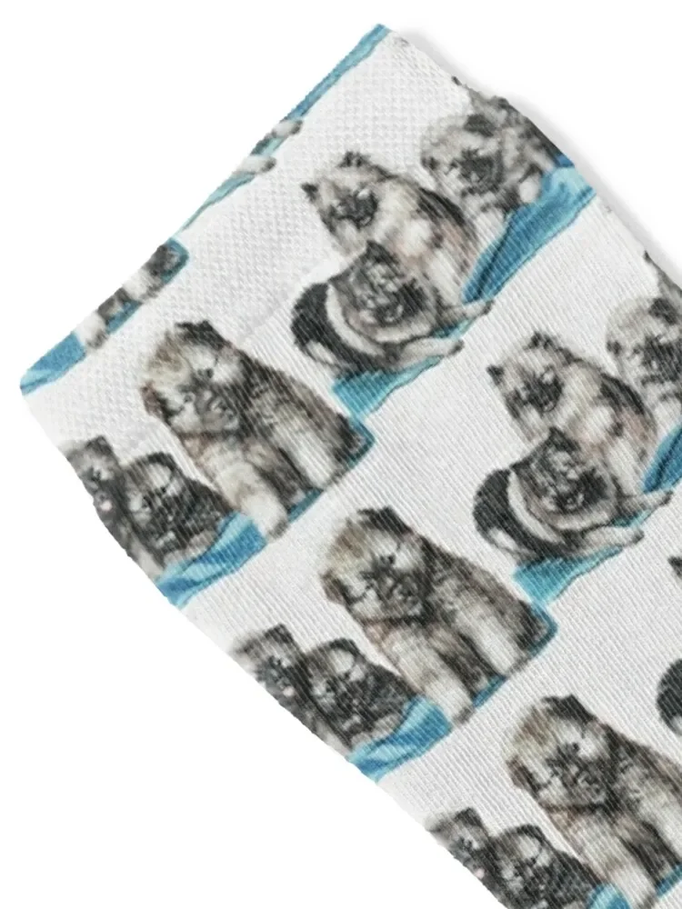 Keeshond Puppies Socks shoes new in's retro Socks Woman Men's