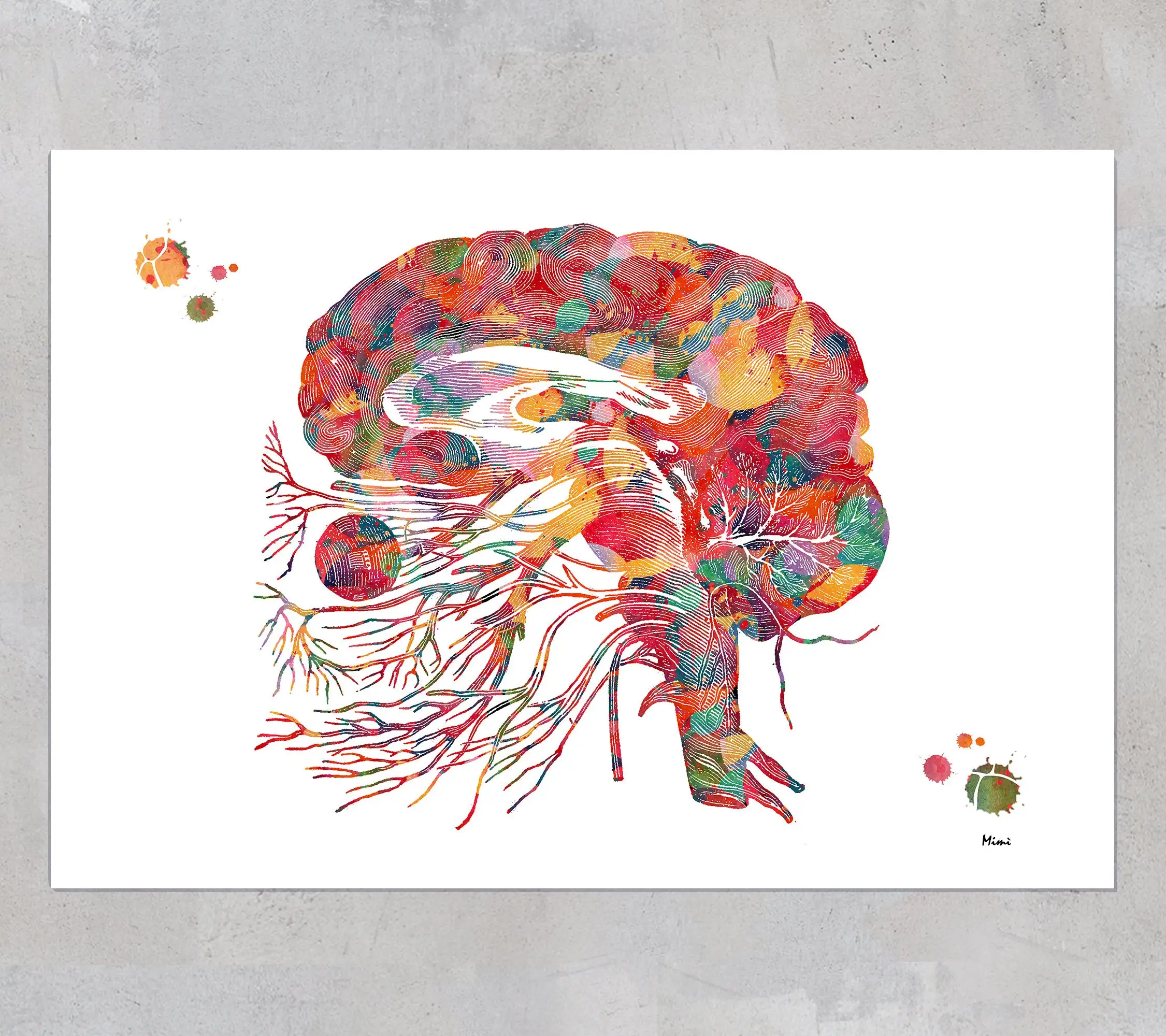 Cranial nerves watercolor anatomy art cranial nerves and brainstem diagram olfactory optic neurology neuroscience print poster