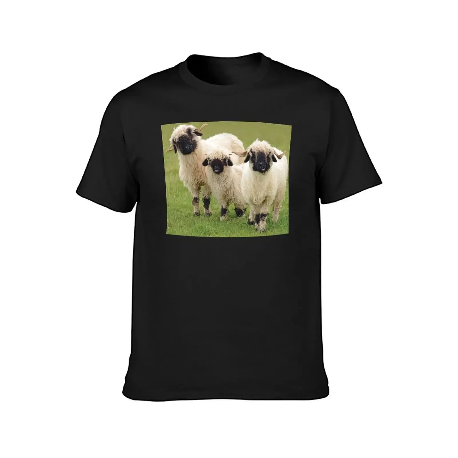 Swiss Valais Blacknose Sheep T-Shirt man t shirt quick-drying vintage t shirt men