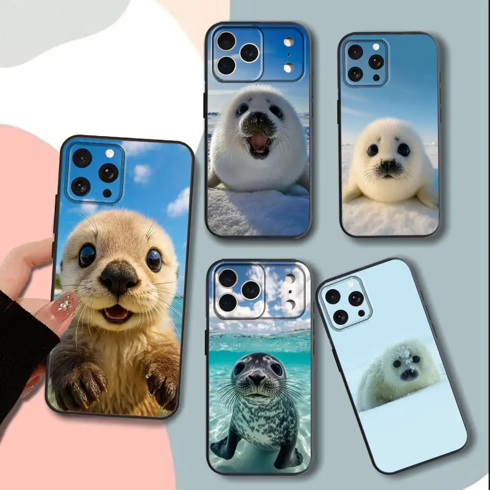 

C-Cute cold A-Animal S-Seal Phone Case For iPhone 15,13,16,12,11,17,14,Plus,Pro,Max,XS,XR,X,SE,Mini,Soft Silicone Black Cover