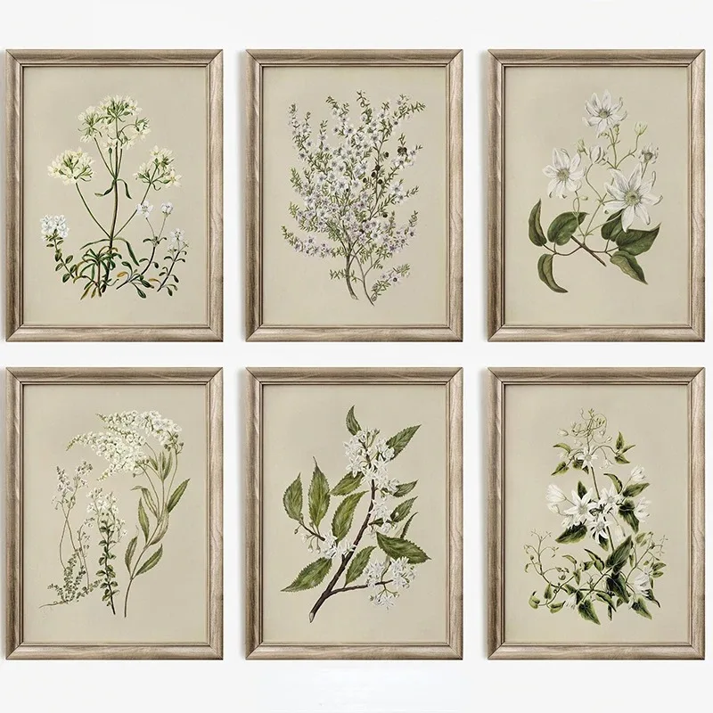 

Винтажный художественный постер с ботаническими цветами и растениями, картина на холсте, настенные принты для гостиной, домашний декор