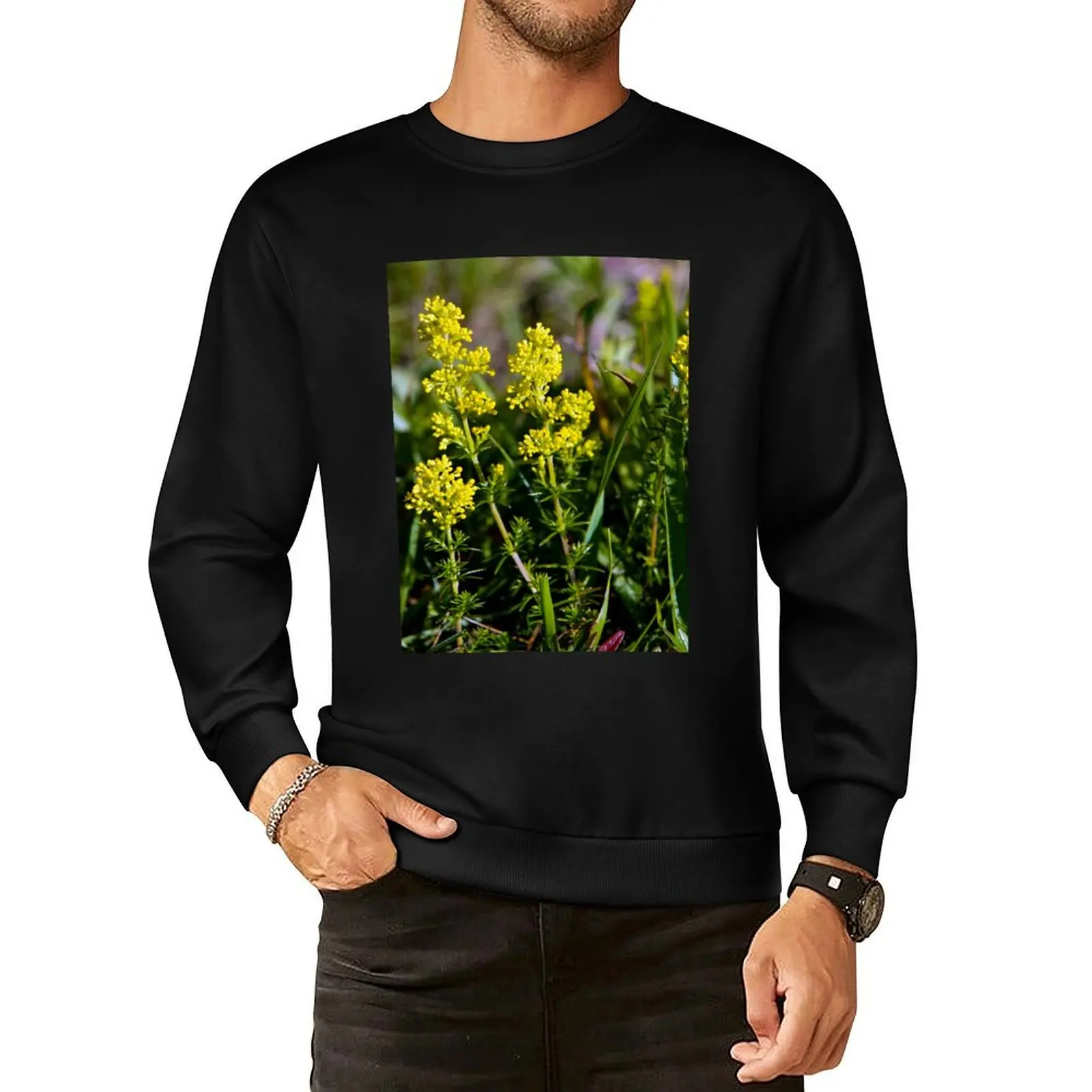 Galium Verum (Lady’s Bedstraw), Inishmore, Aran Islands Pullover Hoodie mens clothes graphic t shirts men men's sweatshirt