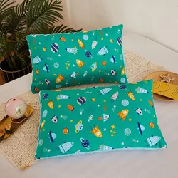 30x50cm Double Sided Children's Pillowcase Student Dormitory Single Pillow Cover Baby Bedding Cartoon Boys Girls Pillowcase