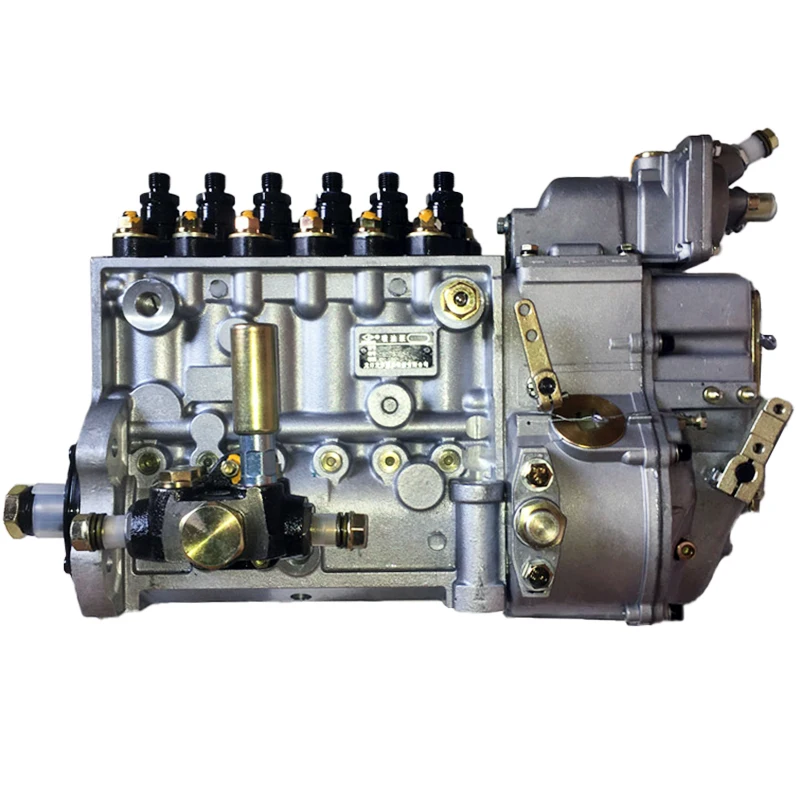 

Genuine Fuel Injection Pump 5107 BH6P120 GY208