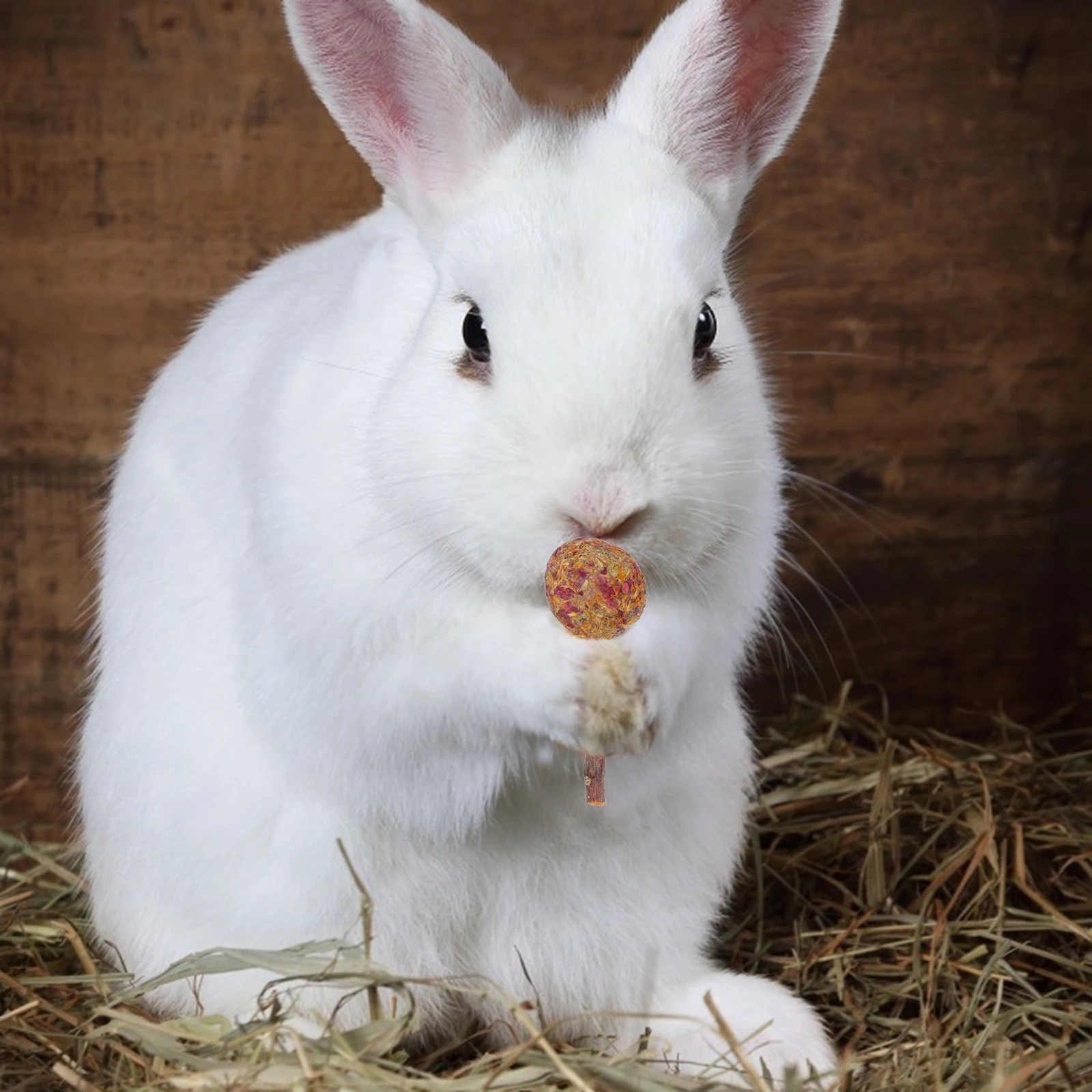 

10pcs Grass Grinding Lollipop Stick For Small Pets Hamster Rabbit Molar Teeth Natural Pet Chewing Stick Safe Bite Teeth Cleaning