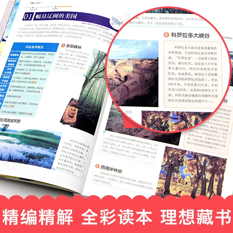 Libri extrascolastici per studenti delle scuole medie, Storia generale della Cina e del mondo, Storia della seconda guerra mondiale