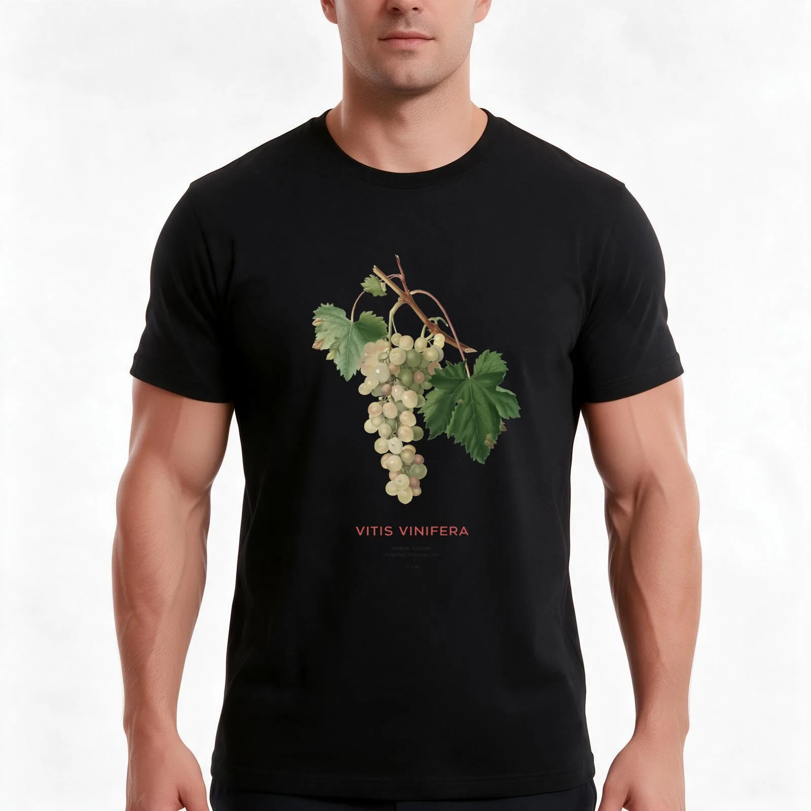 Common grape vine or Vitis vinifera T-Shirt Summer Casual Cotton Tee Oversized Streetwear Tops Vintage Graphic Print