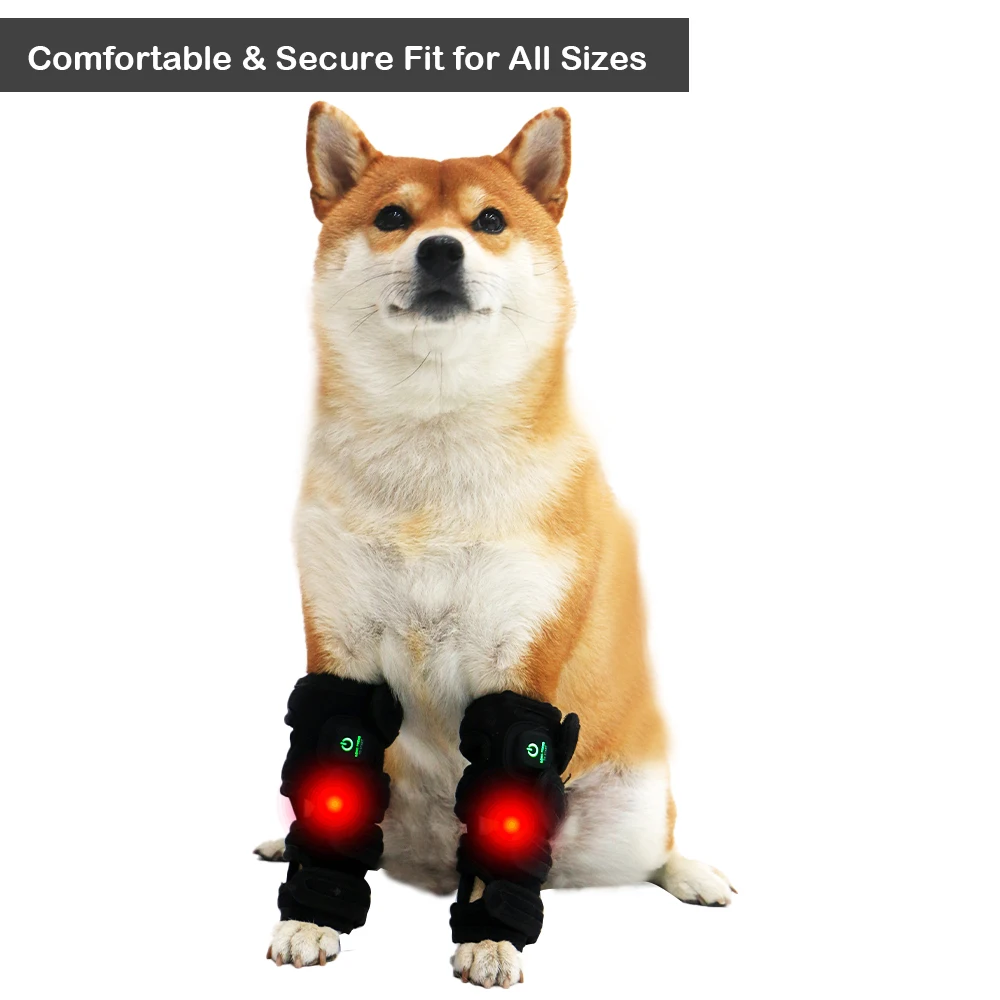 

Пояс для светотерапии красным светом для собак 660нм 850нм, облегчающий боль, для домашнего использования