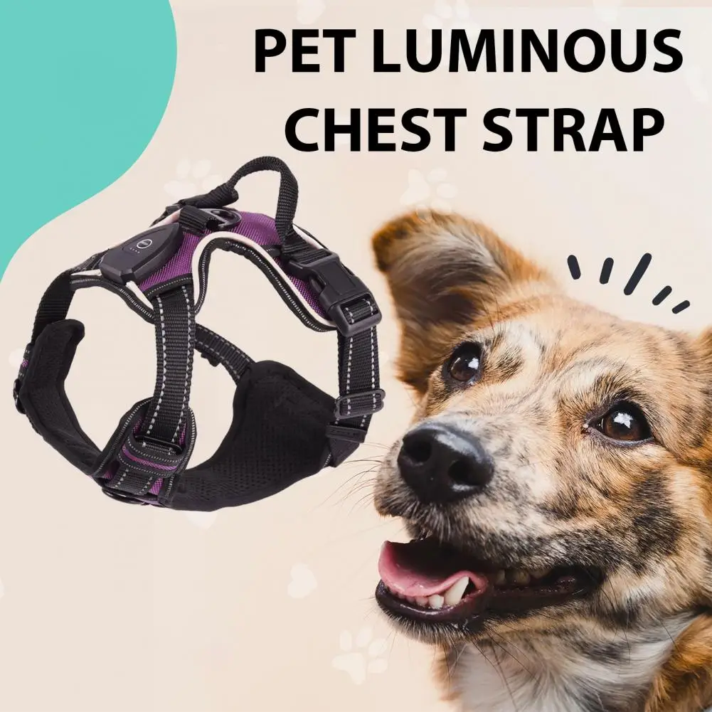 Pet Harness Rechargeable Led Dog Harness for Night Walking Adjustable Glow Vest for Small Medium Dogs Pet Chest Strap Soft Dog