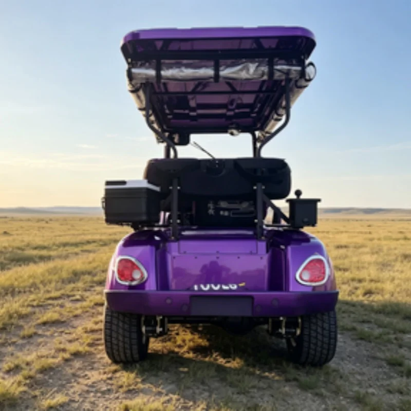 Buy Factory Made Golf Cart Maintenance Free Battery China Electric Golf Cart With Golf Bag Rack And Basket Sand Box Rain Cover