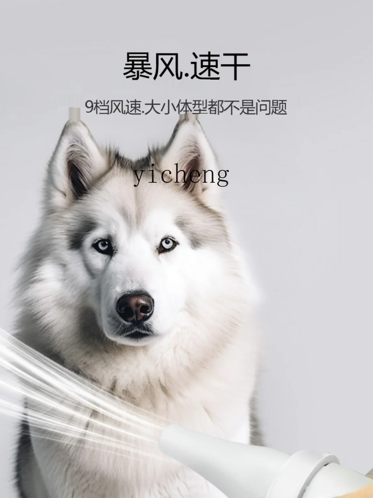 Dog Hair Dryer High Power Mute Shop Home Large Dog Special Hair Blowing ArtifactC10