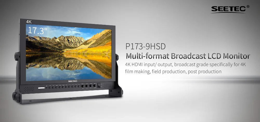 SEETEC 17.3