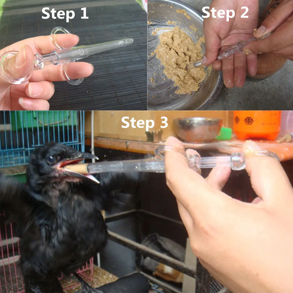 Pet Parrot Feeding Syringe ABS Plastic Young Bird Medicine Syringe Thin/Thick Tube Pigeon Nutrient Solution Young Bird Syringe