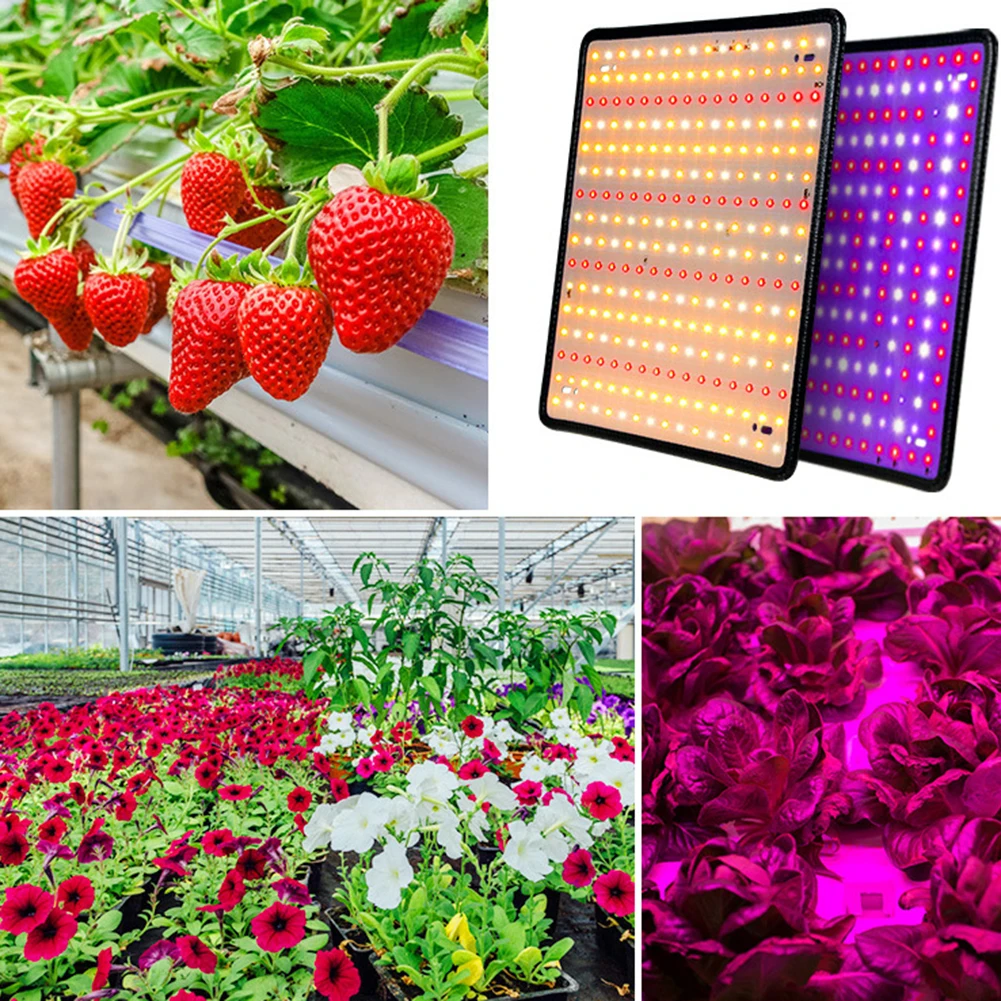 Led Grow Light Full Spectrum Grow Light 27W Paneelkweeklamp Met Hangend Touw Voor Zaailing Groenten Bloem