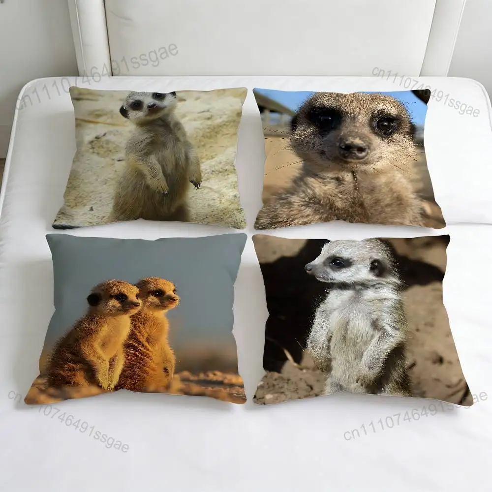 Cute Baby M-Meerkat Fashion Square Pillow Case Durable Throw Pillow Cover for Sofa Couch Chair