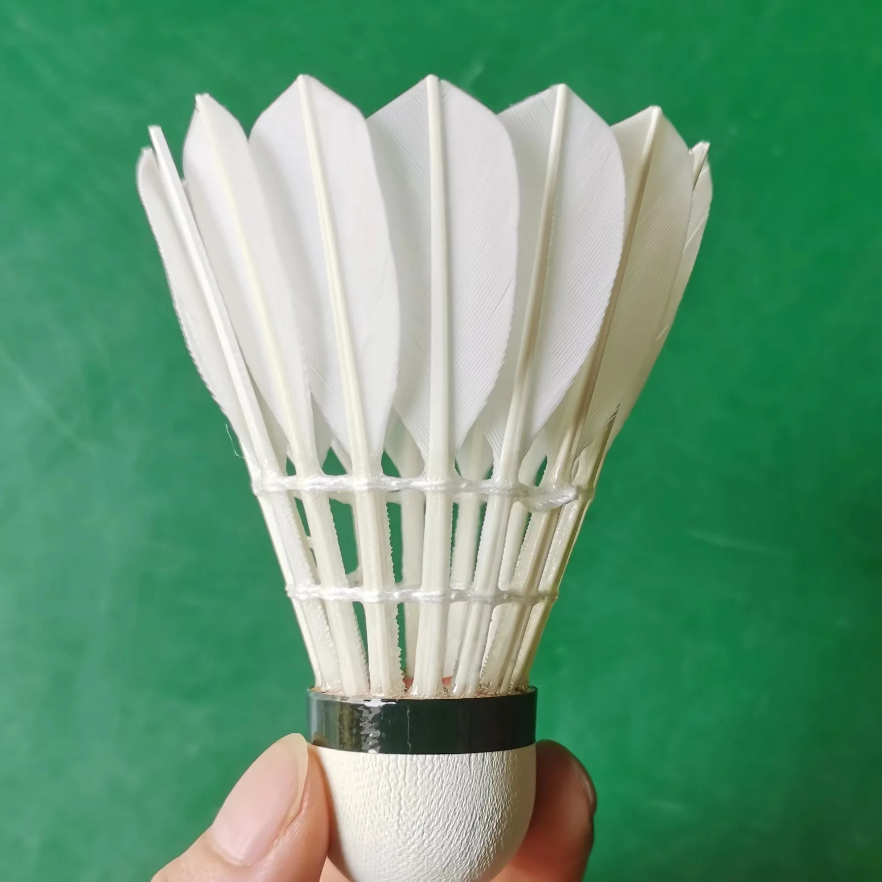 المعتمدة نوعية جيدة ريشة أوزة الريشة الريشة جيدة مثل التسمية السوداء