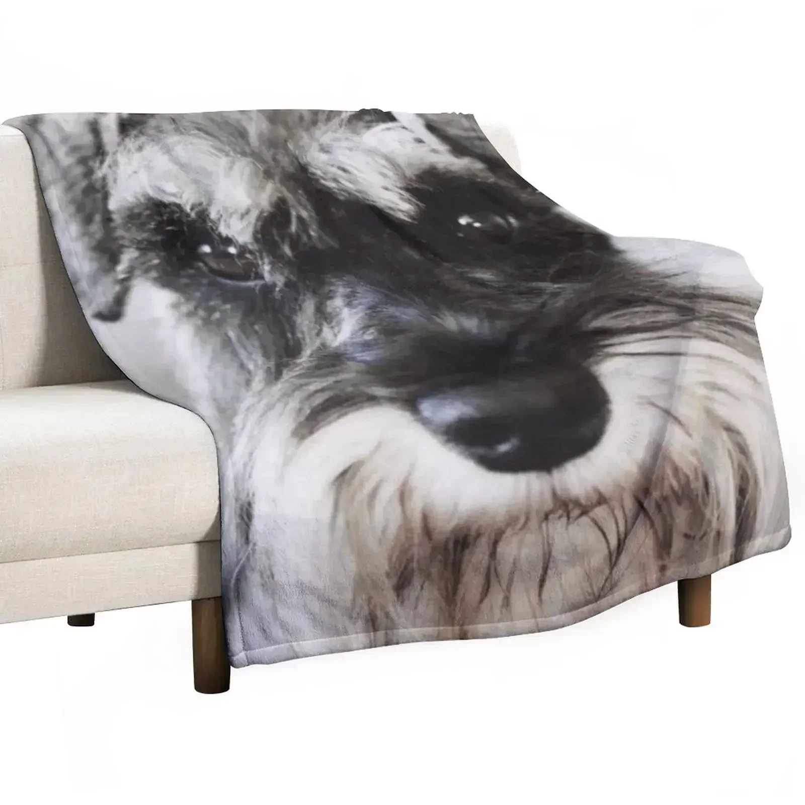 

New Schnauzer dog full face pets dogs cute puppy Throw Blanket Moving Hairy Extra Large Throw For Sofa Thin Blankets