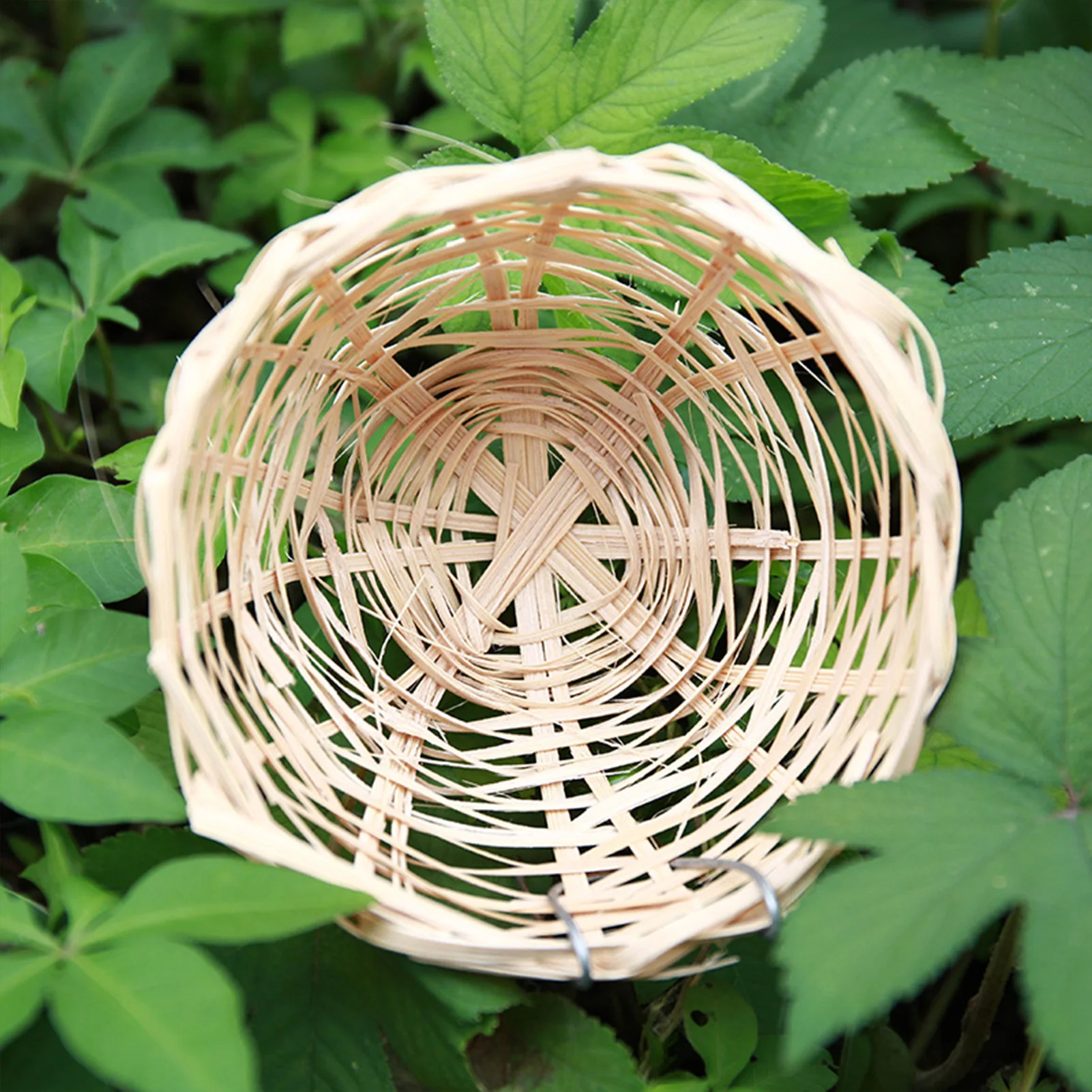 Bird Nest Hand Woven Hummingbird Nest Bamboo Knitted Birdhouse Outside Natural Bird for Sparrow Small Finch Roosting Nest