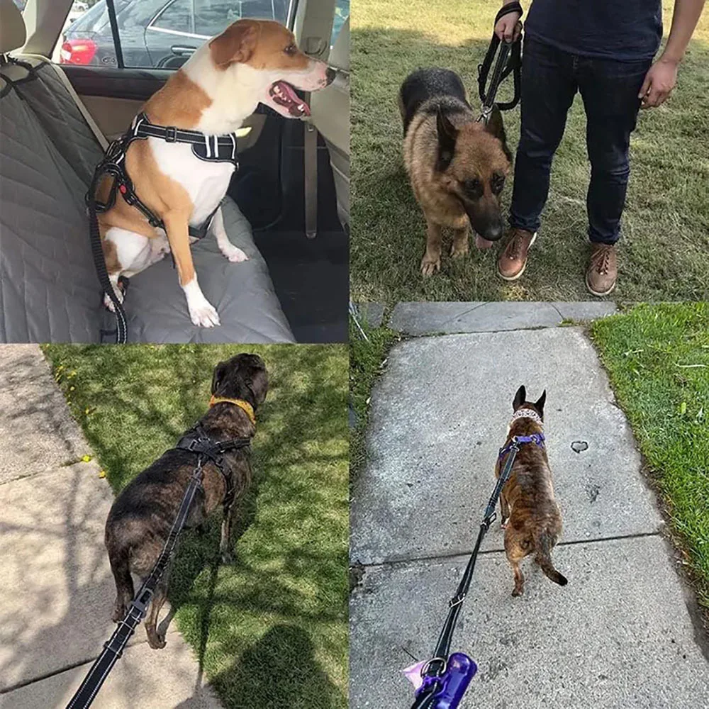 Robuste Bungee-Hundeleine, 4-in-1-Multifunktions-Trainingsleine mit Autositzgurt, Hundezubehör, Hundeleine für mittelgroße Hunde – Detail 11