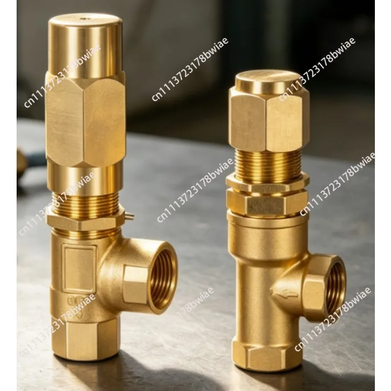 Brass Safety Valve for High Pressure Plunger Pump, Relief Valve Accessory for Car Wash & Farm Fogger