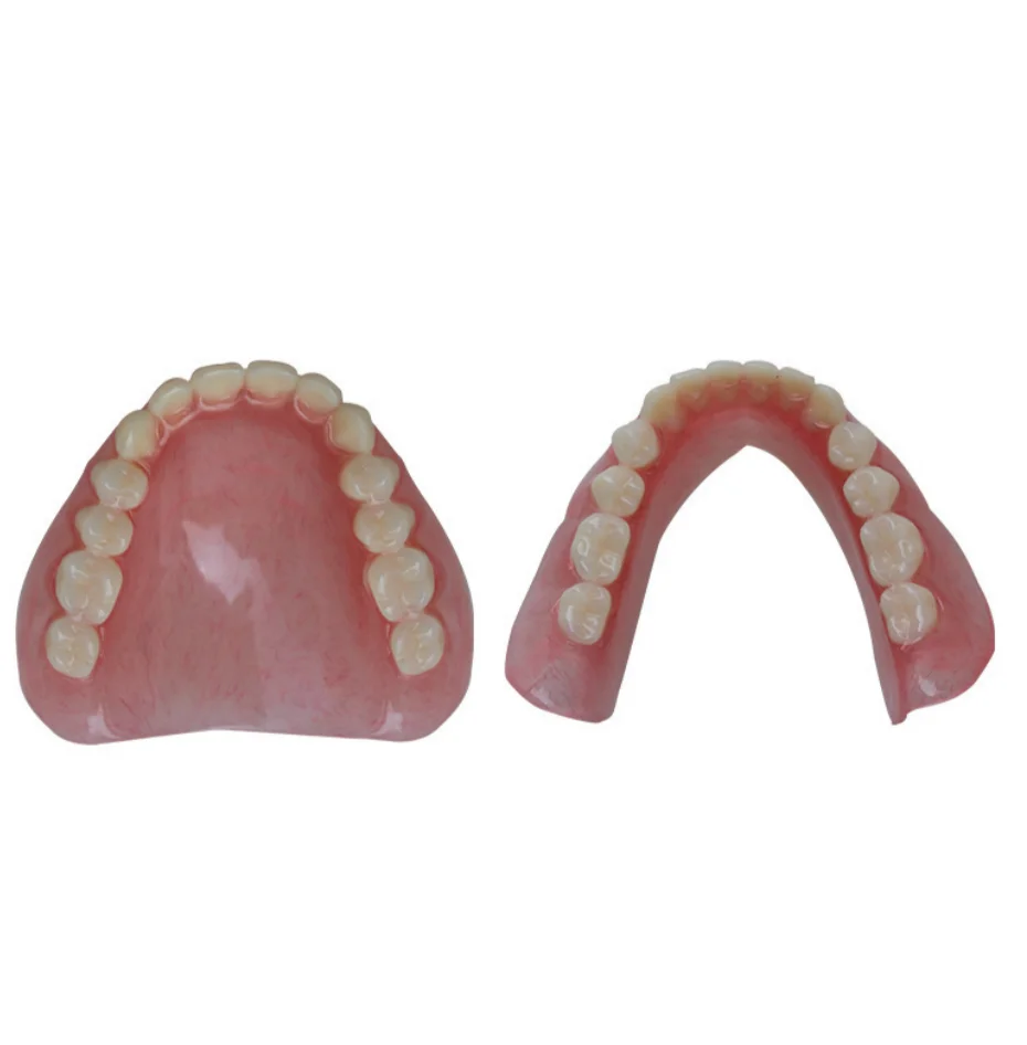 Dental Teaching Model Removable Denture model Dentist Exhibition Sample Training Demonstrations
