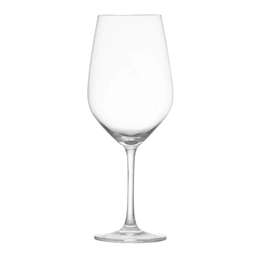 

Tritan Crystal Glass Forte Stemware Collection Wine Water Goblet Red or White Wine Glass, 17.3Ounce, Set of 6