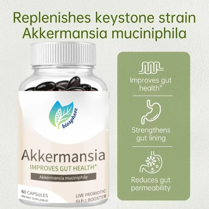 كبسولات معززة من Akkermansia Active Probiotic GLP-1 - تحسين صحة الأمعاء 60 كبسولة #2