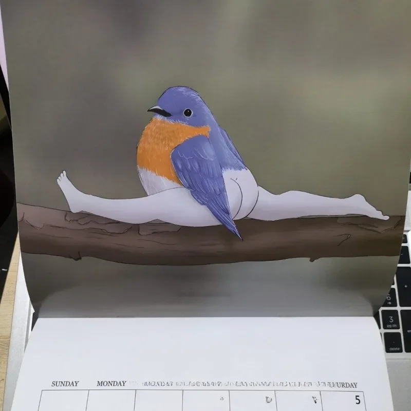 

Calendar Creative Birds Birds Calendar BIRD2025YEARCALENDAR Animals