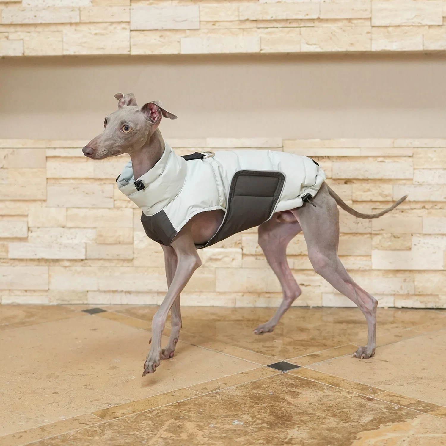 Winter Warm Blue Quickly Take Off Down Coat for Italian Greyhound Waterproof Jacket for Bedlington in Autumn Thick Vest for Dog
