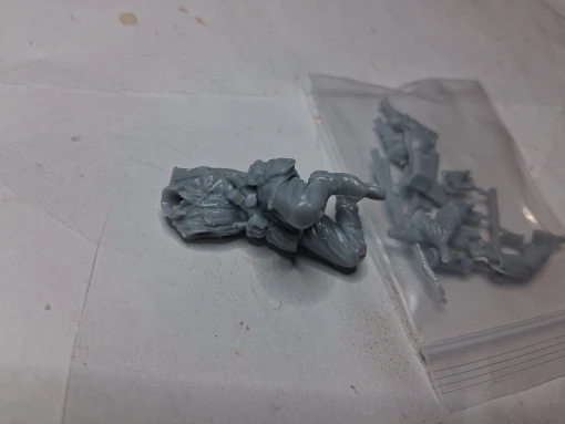 Buyer photo of this resin kit