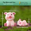 Pig Mon Son