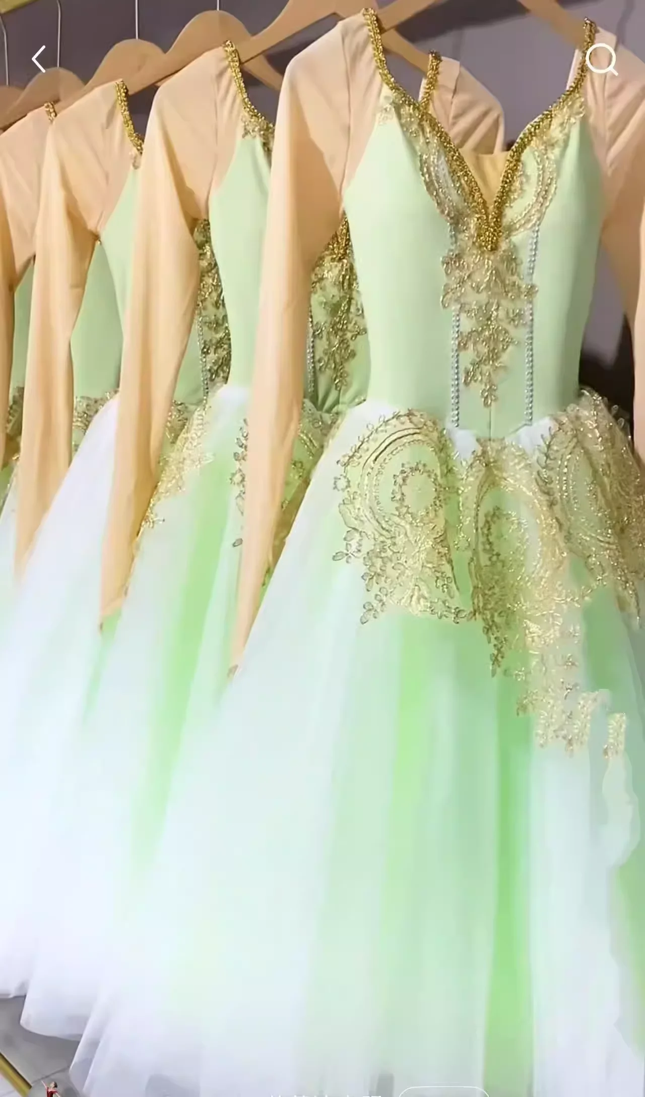 Ballet Tutu Rok Vrouwen Jurk Lange Vestidos Voor Meisjes Prestatiekleding Zwaan Buikdans Rokken