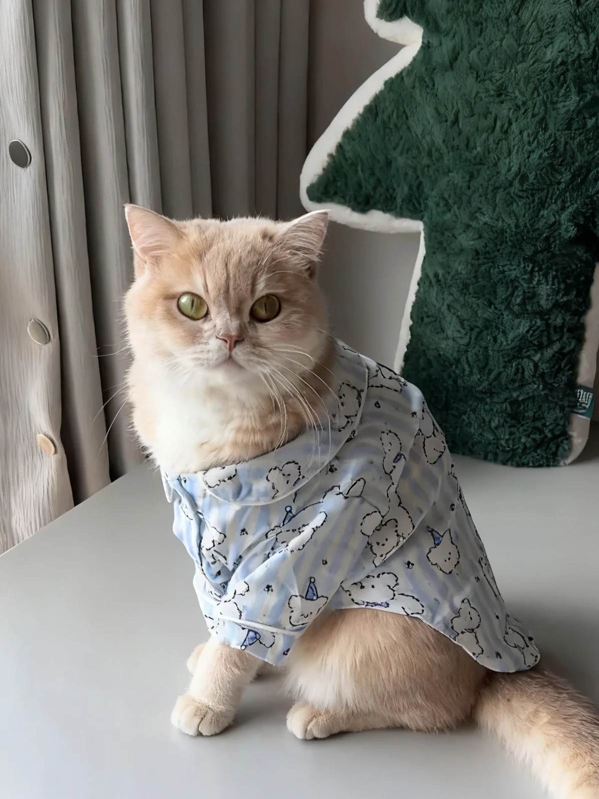 Spring Autumn Pet C…