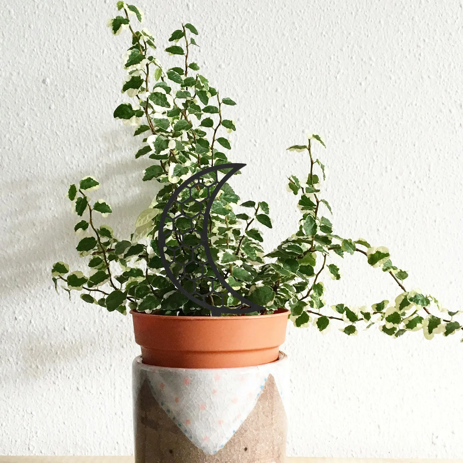 

2Pcs Sturdy PP Plant Climbing Stand Moon Design Easy Install Potted Plants Support Balcony Garden Decor Plant Ladder