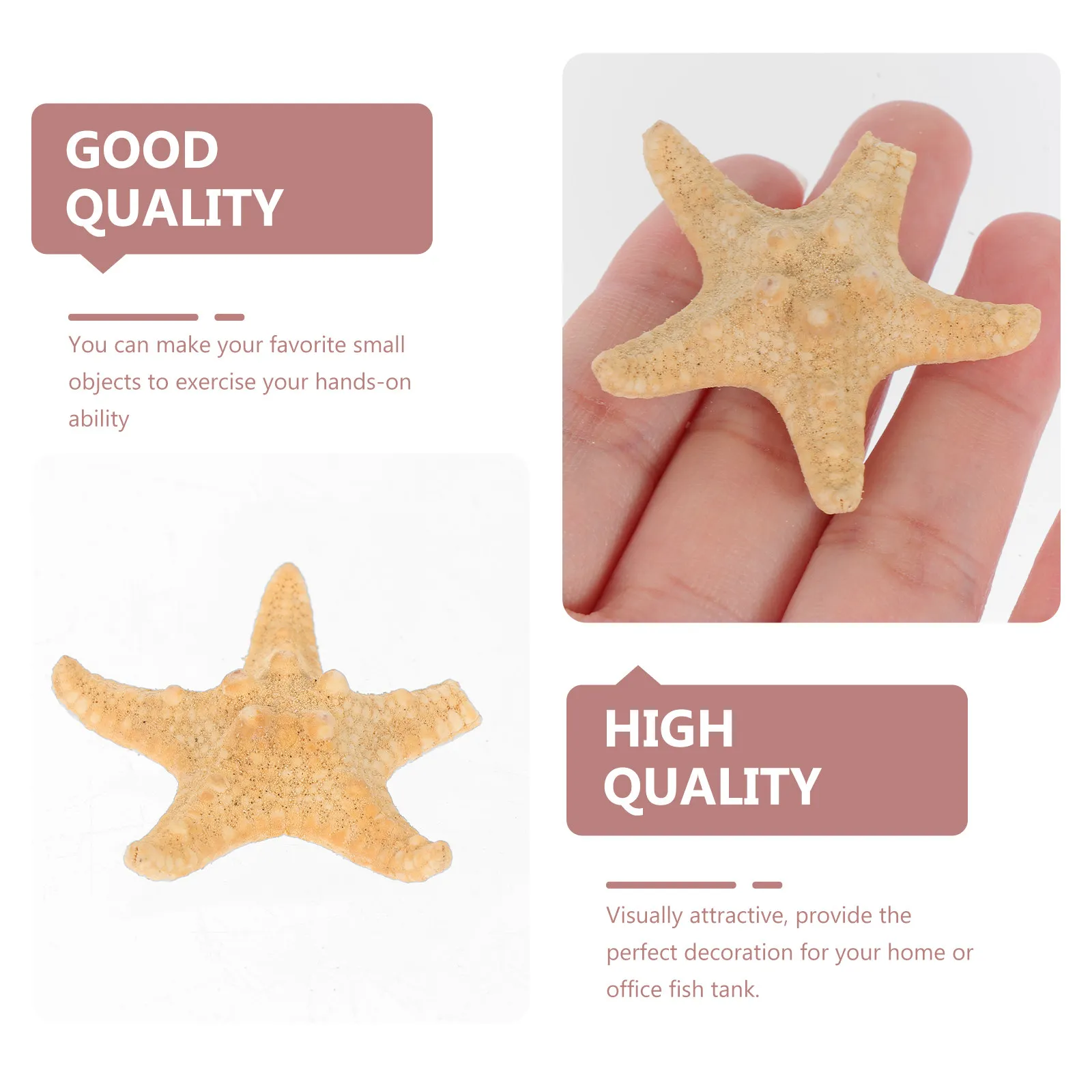 6Pcs Natural Sea Star Decors Portable Lightweight DIY Decoration Sea Star Ornaments for Aquarium Fish Tank Vase Filling and