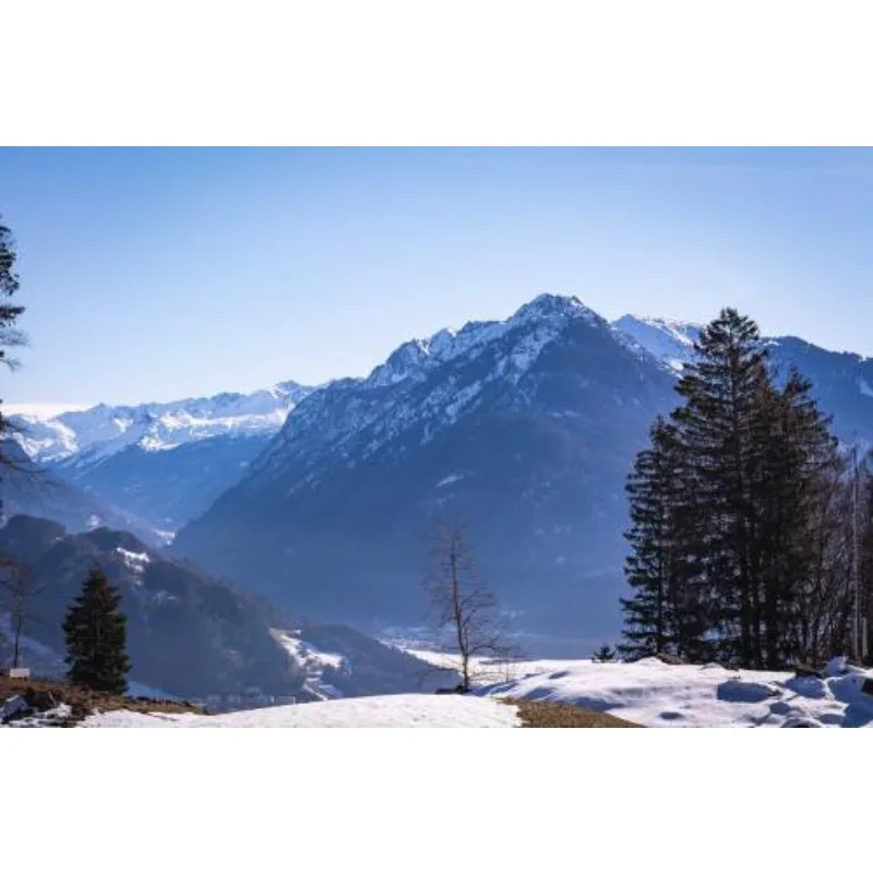 Bo Cube Airspeed Tu…