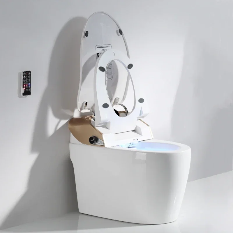 Wall Mounted Heated Smart Bidet Toilet Seat Adjustable Temperature Intelligent Toilet Attachment for Bathroom