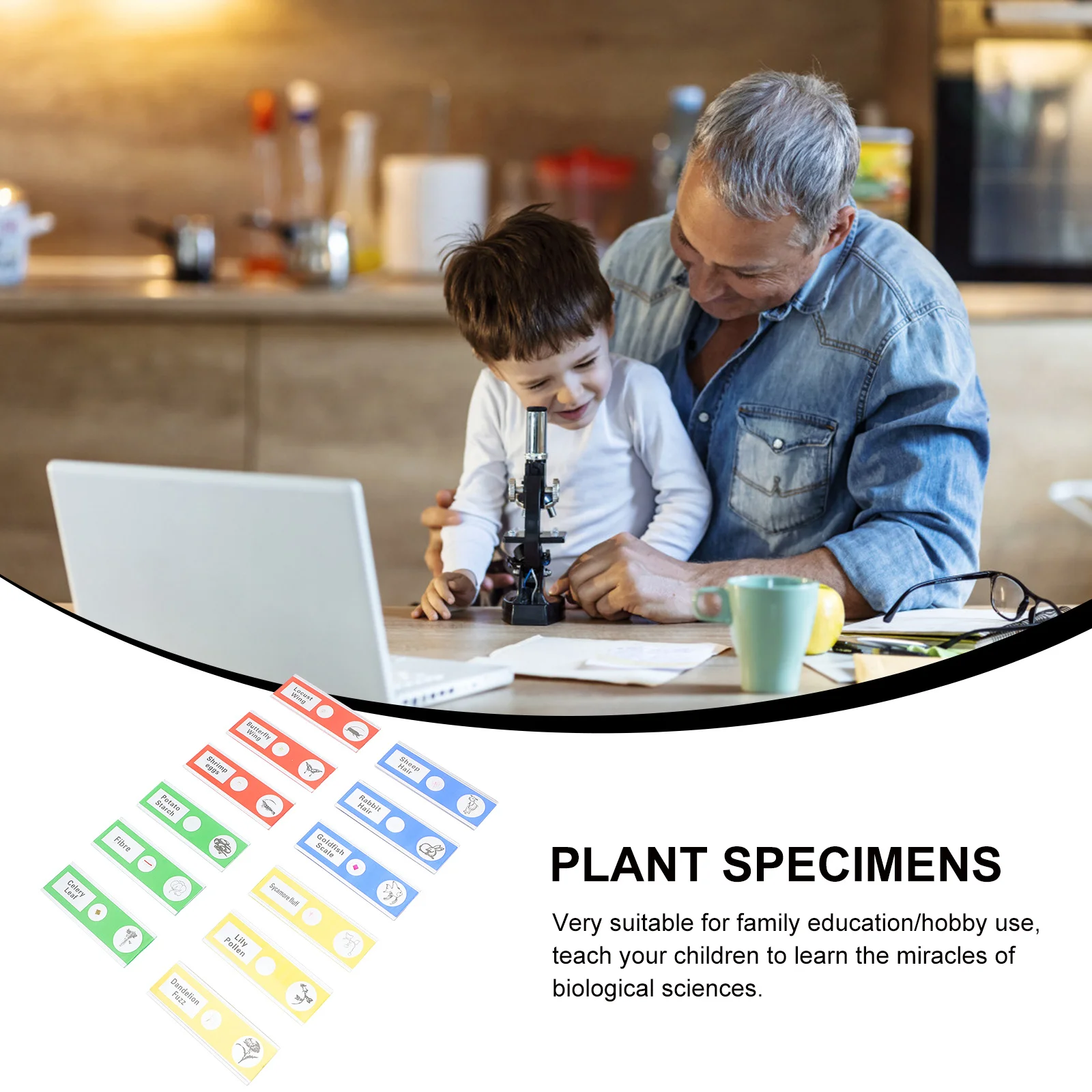 

36Pcs Prepared Microscope Slides Plastic Biological Specimens Insects Animals Plants Sample Collection for Kids Students