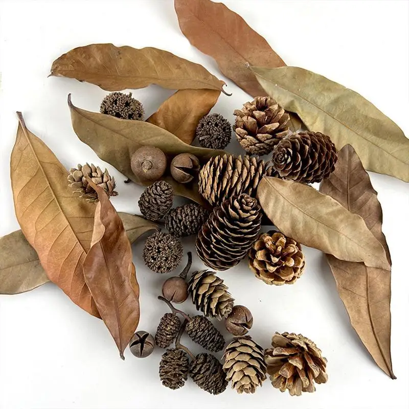 Aquarium Alder Cones Natural Fish Tank's Lowerer Aquarium Decorations & Accessories Multifunctional Fish Tanks Botanicals