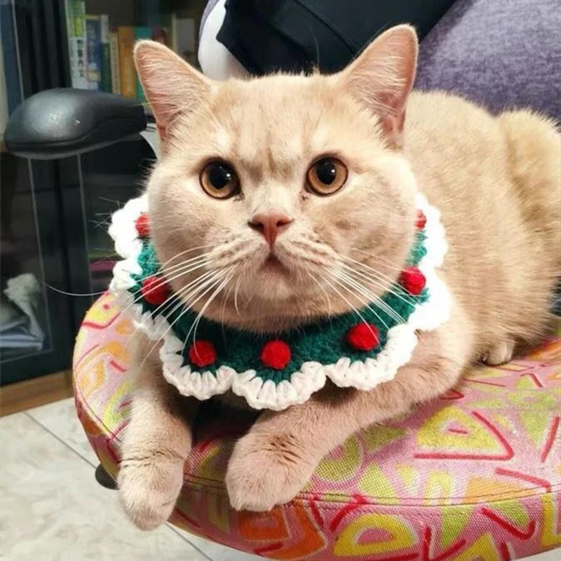 Tecelagem princesa gato pescoço colar quente inverno bonito acessórios para buldogue francês tricô lã respirável pet gatinho colares